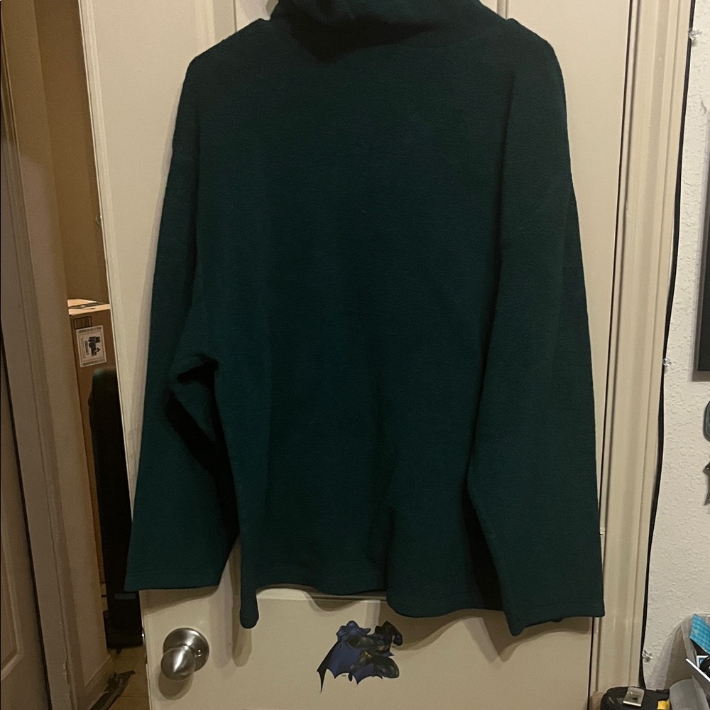 Dark Green Winnie The Pooh Partial Zip 18W/20W Hoodie - Picture 6 of 6